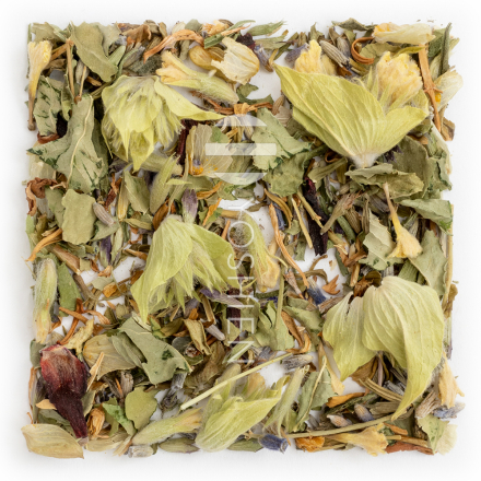 Good Night Valerian Phyto Harmony Bio