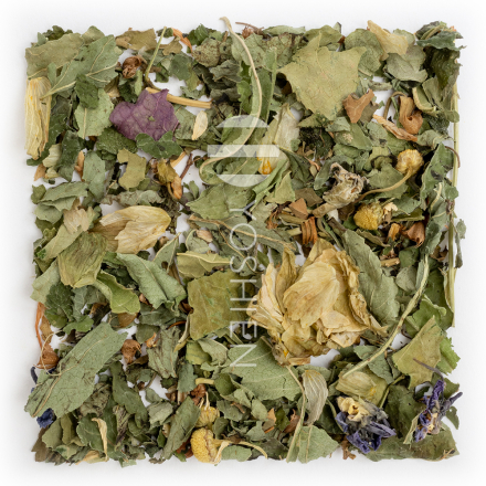 Relax House Infusion Bio