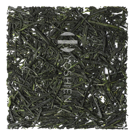 Organic Shibushi Gyokuro Saemidori
