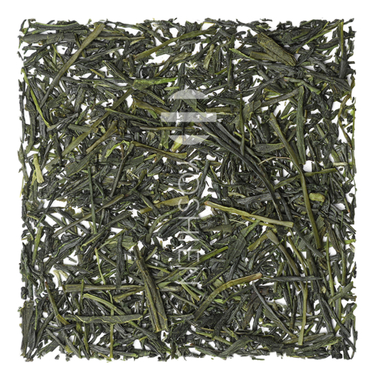 Hashiri Shincha Yakushima Yutakamidori