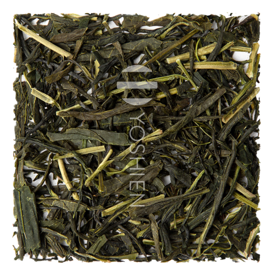 Organic Sencha Ishikawa Nami