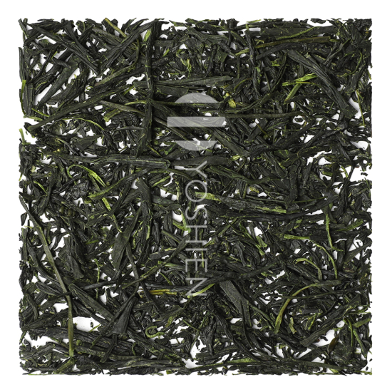 Gyokuro Hoshino